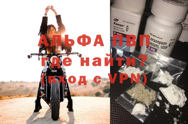 не бодяженный Бородино