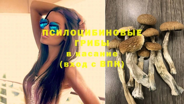 герыч Богородск
