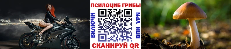Псилоцибиновые грибы мухоморы  где купить наркоту  Озёрск 
